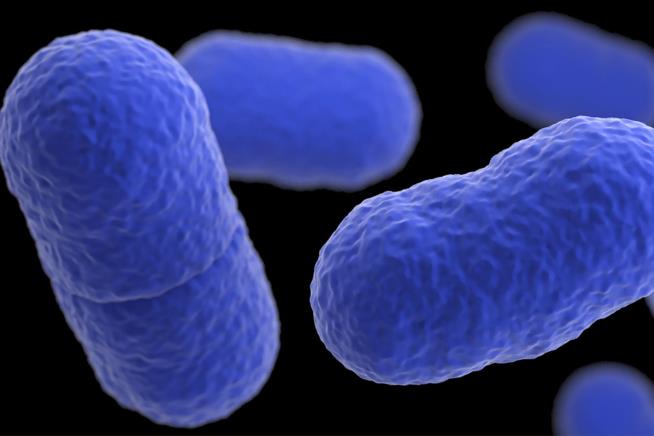 After Baby's Listeria Death, a 72K-Pound Recell