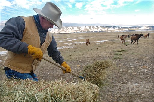 Wind Fuels Land Rush in Wyoming