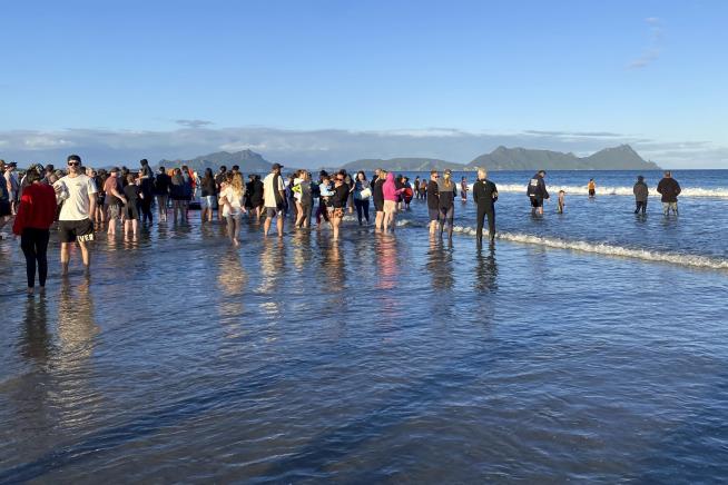 New Zealanders Save More Than 30 Stranded Whales