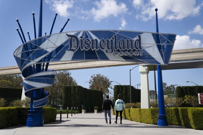 Disneyland 'Gangs' Struggling to Afford the Theme Park