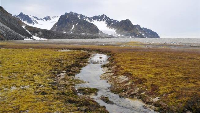 Arctic Tundra Is Losing Its Carbon Storage Powers