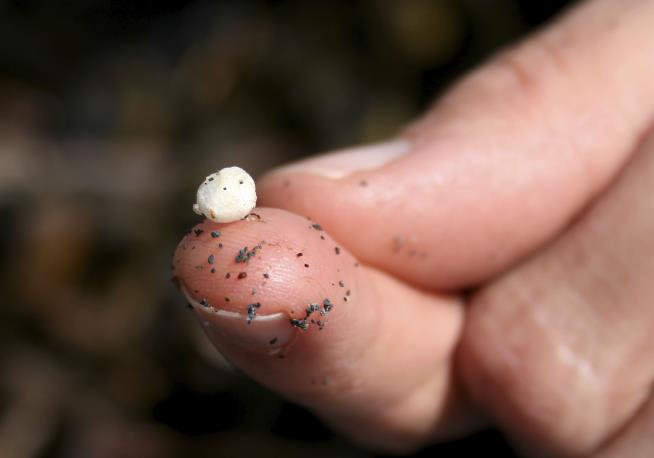 Microplastics May Be Linked to Certain Cancers, Infertility