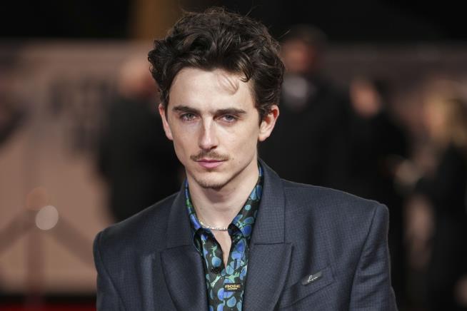 Timothee Chalamet: I Got Fined After Riding Bike to Film Premiere