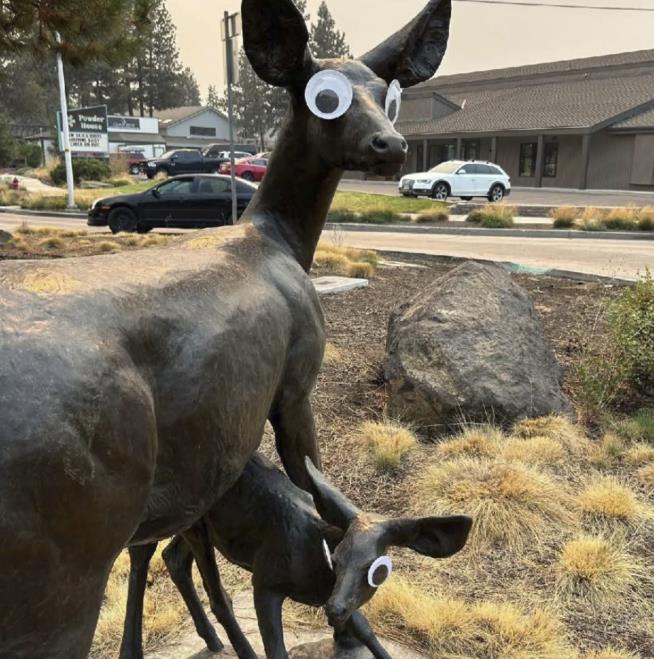 Oregon Guy: I Was Behind the Googly Eyes