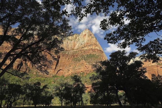 37-Year-Old Hiker Falls to Death at Zion