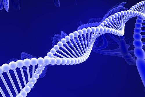 Court: UK's DNA Database Violates Privacy Rights