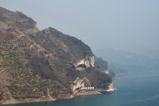 Viral Photo Transforms 'Puppy Mountain' Into Tourist Hotspot