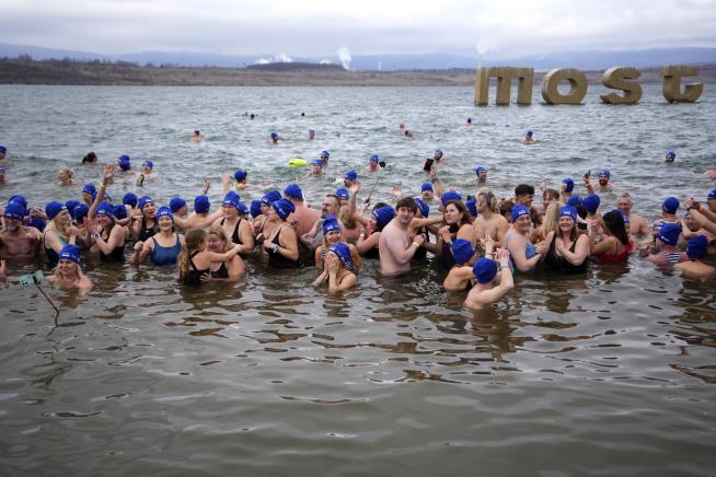 A New Record for Largest Polar Bear Swim Has Been Set