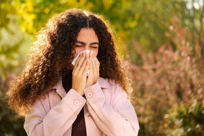 Bad News If You Start Sneezing Once the Weather Warms