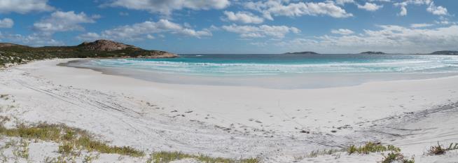 Surfer on Holiday Killed by Shark