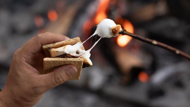 Cops: Family Making S'Mores Started Long Island Fires