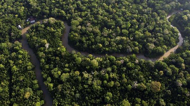 Highway Built Through Amazon to Facilitate Climate Summit