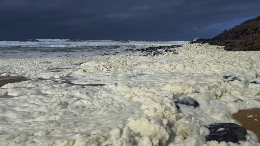 Dead Fish, 'Unusual' Foam Cover Australia Beaches