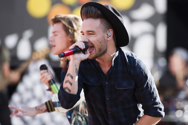 Liam Payne Left $32M Fortune, No Will