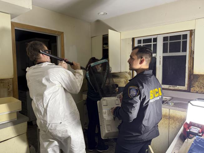 97 Cats Found in NY Man's Home, 28 of Them Dead