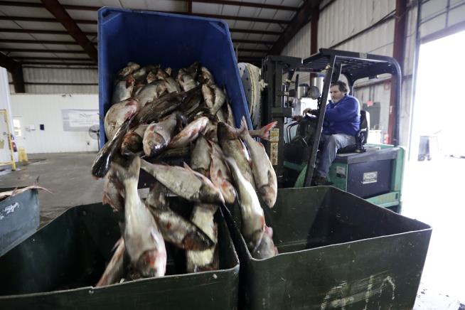 Trump, Pritzker Resolve Carp Funding Fight