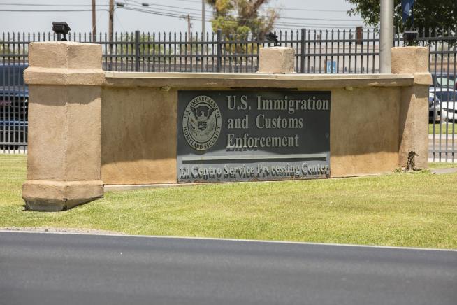 She's Researching Aging. ICE Has Her Behind Bars