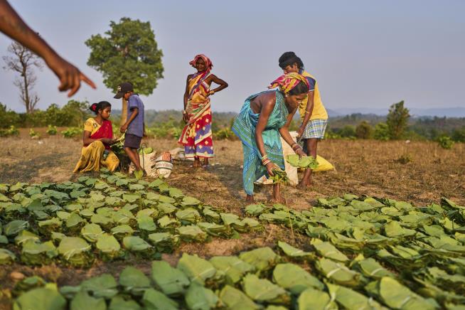 In India, Women's 'Dream Maps' Push Back on Climate Change
