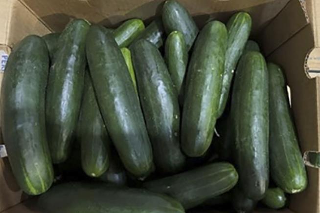 FDA Announces Cucumber Recall
