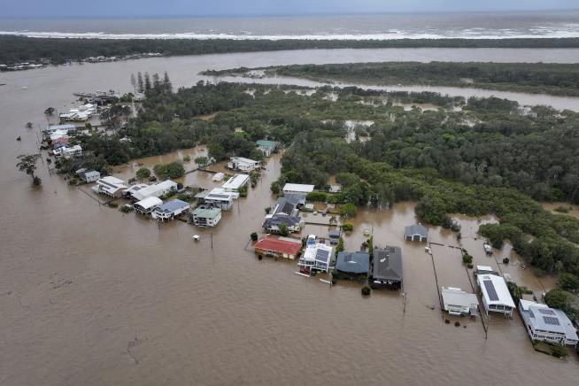 It's a Happy Ending for Cow Swept Away in Flood