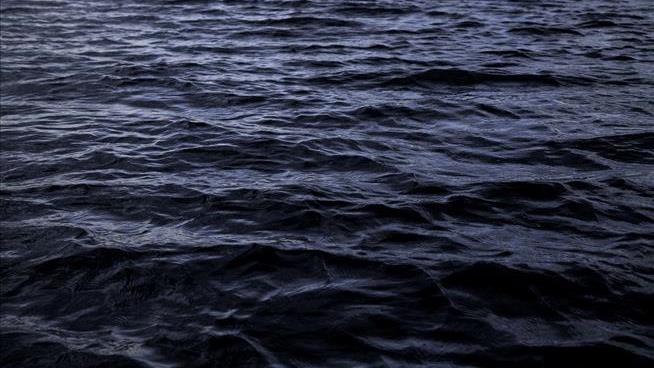 Large Swaths of Our Oceans Are Darkening, Scientists Warn