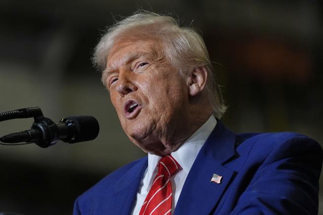 Trump Pardons Divers Who Freed Sharks