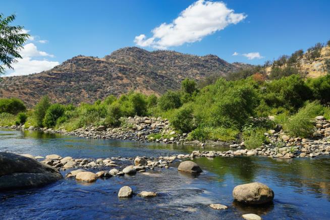 Holiday Weekend Trip to California River Turns Tragic