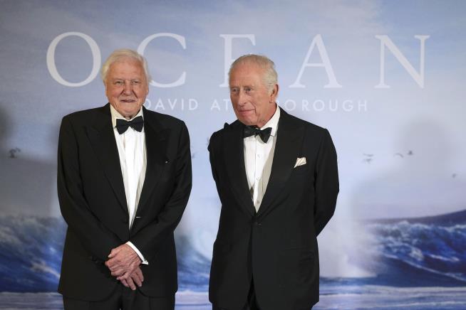 Attenborough's Ocean a Brutal, Gorgeous Wake-up Call