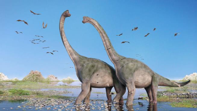 Finally, Hard Proof That These Dinos Scarfed Down Plants