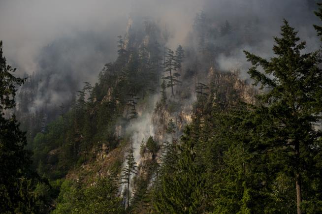 One Stat Speaks Volumes About Canada's Wildfires