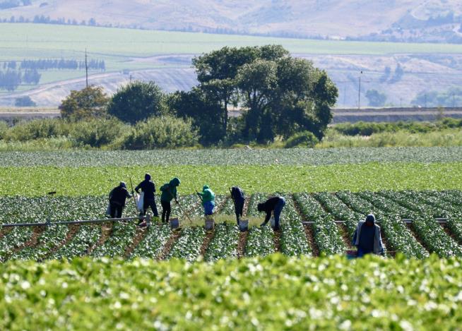 Trump Changes Tune on Migrant Farm Workers