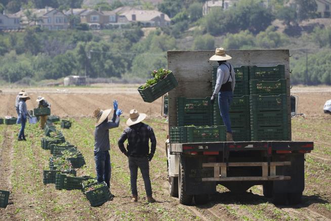 DHS: Farms Aren't Exempt From Raids
