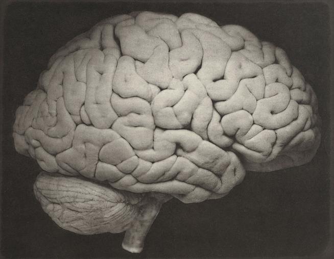 Why Does Your Brain Go Blank?