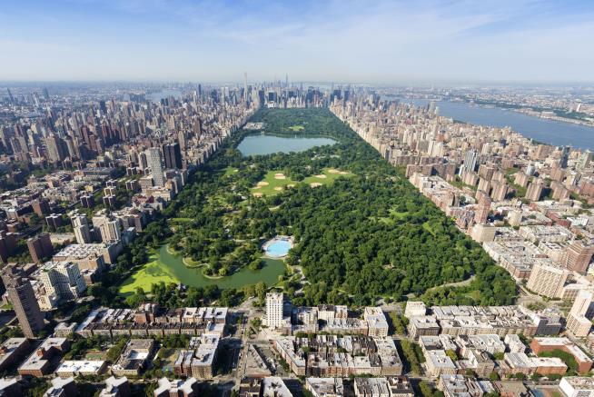 Teen Survives Lightning Strike in NYC's Central Park