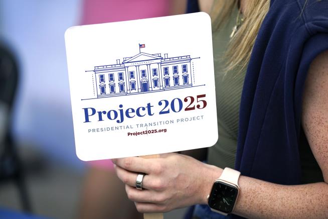 Needing a Plan, Democrats Start Work on 'Project 2029'