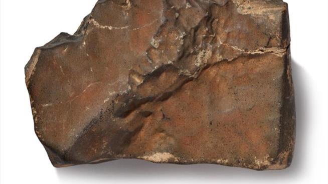 A Space Collector's Unicorn Is Up for Grabs