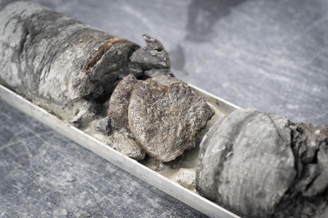 Museum's Dino Bone Find 'Like Hitting a Hole in One From the Moon'