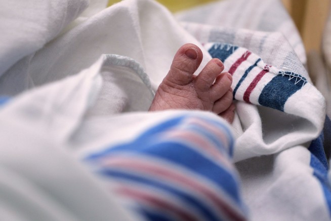 US Fertility Rate Found a New Basement in 2024