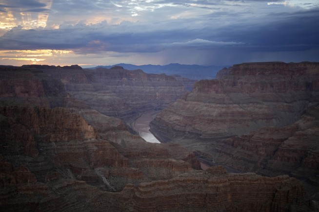 Grand Canyon Fossil Trove Shows Evolution in 'Overdrive'