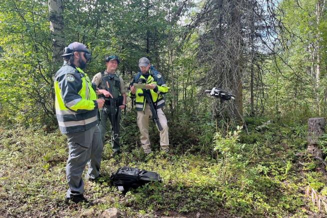 Anchorage Sees 2nd Bear Attack in 5 Days