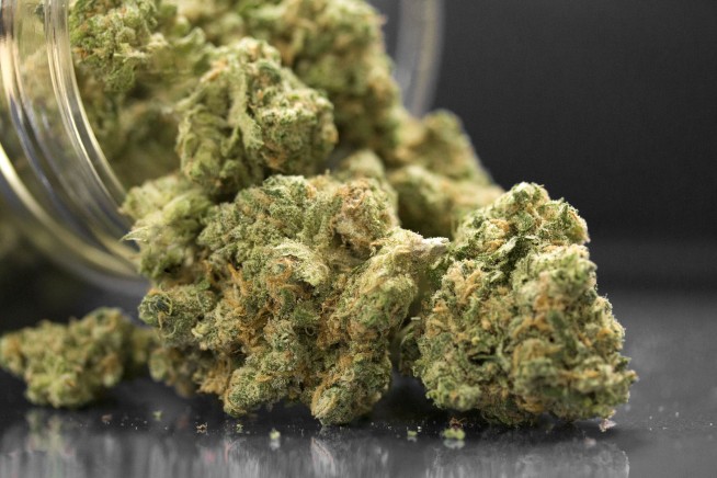 Trump on Easing Pot Rules: 'We Need to Look at That'