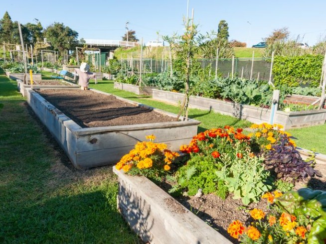 10 Best Cities for Urban Gardening