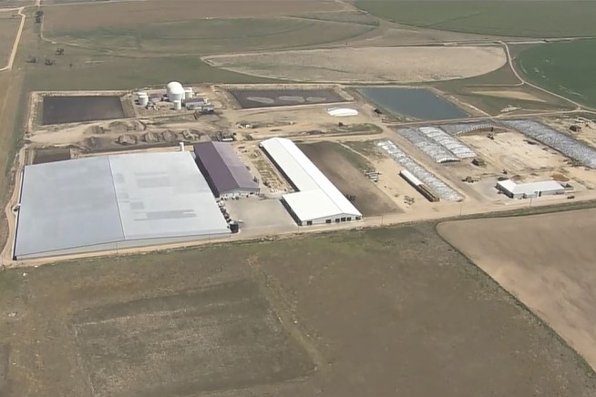 6 Killed in Accident at Colorado Dairy