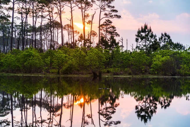 An Island Fights to Stay Afloat 20 Years After Katrina