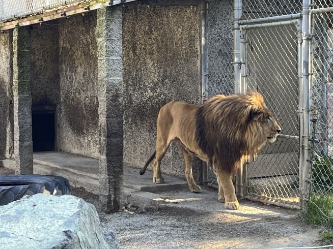 Zoo Owner Indicted on Hundreds of Charges