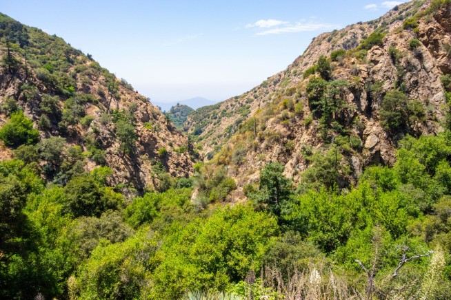 Man Arrested After Wife's Body Found in California Forest