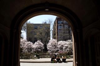 Yale's Endowment Drops 25% to $17B