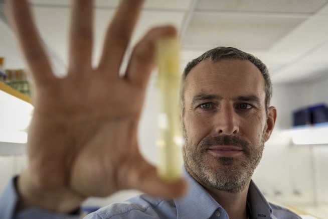 It Produces 50% of Food in the Ocean. And It's in Trouble
