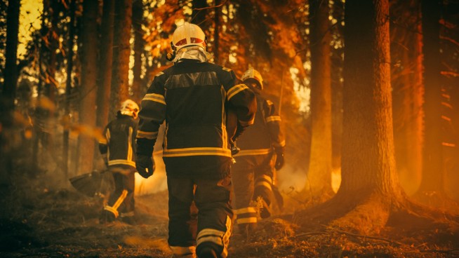 When Wildfire Smoke Sickens Firefighters, Help Isn't a Given