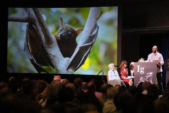 IG Nobel Winners Include Drunken Bats, Pizza Lizards